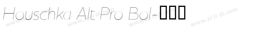 Houschka Alt Pro Bol字体转换